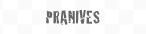 Ice rink Pranives